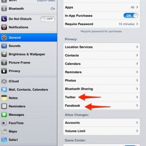 social network restrictions in iOS 6 for iPad