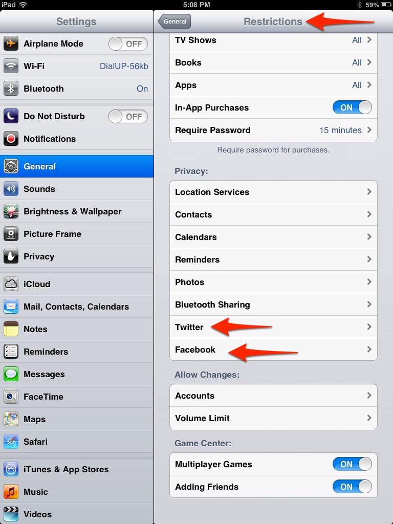 social network restrictions in iOS 6 for iPad